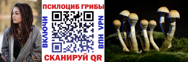 Псилоцибиновые грибы мицелий  кракен ссылки  Суджа  где купить  